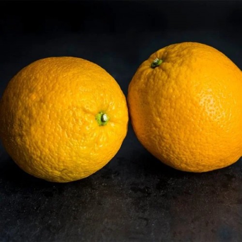 Large Oranges Each