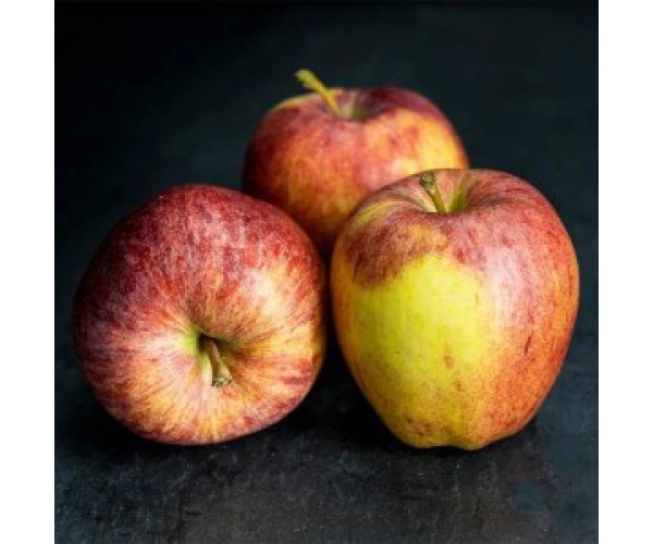 Apple R.Gala Each