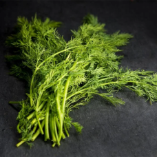 Fresh Dill 50g