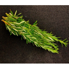 Fresh Rosemary 50g