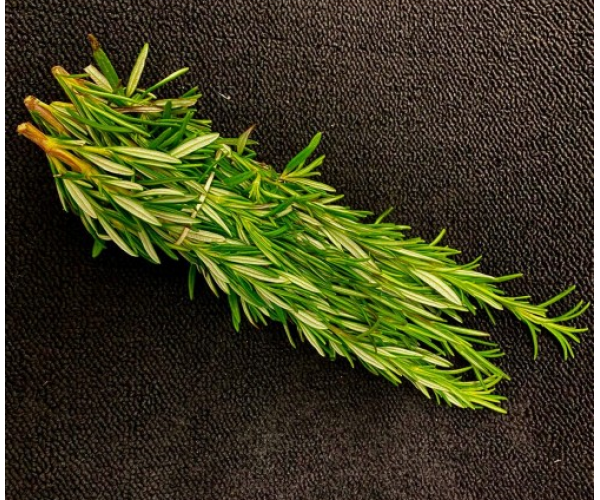 Fresh Rosemary 50g