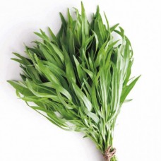 Fresh Tarragon 50g