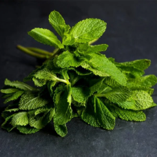 Fresh Mint 50g