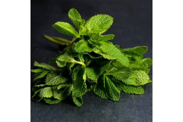 Fresh Mint 50g