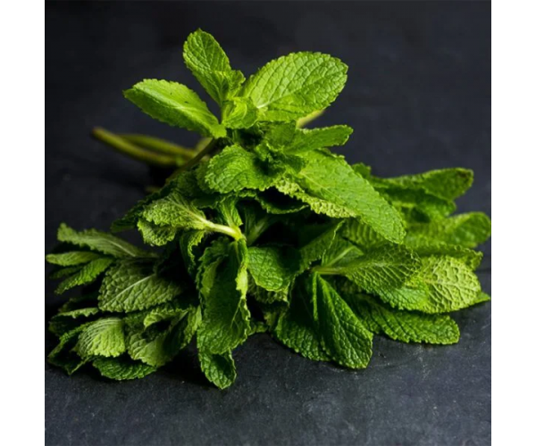 Fresh Mint 50g