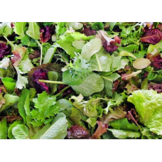 Mix Salad 500g