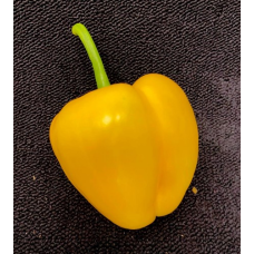 Peppers Yellow Each