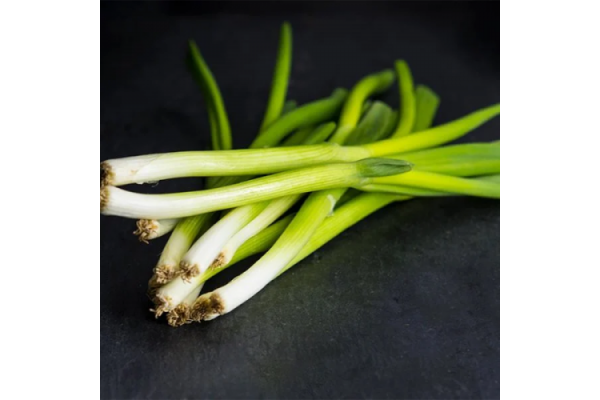 Spring Onion bunch