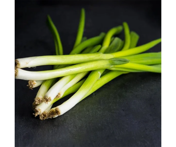 Spring Onion bunch