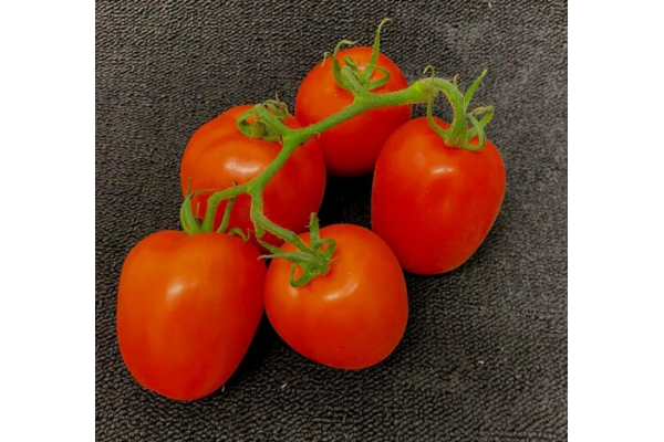 Plum Vine Tomato 500g