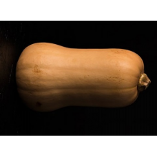 Butternut XL Each