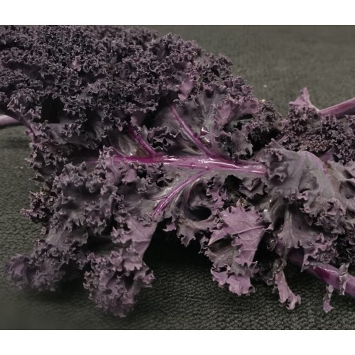 Purple Kale Kg