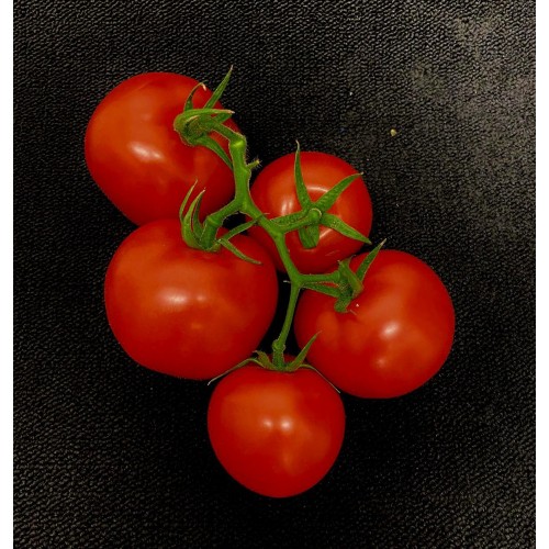 Tomato Vine 500g