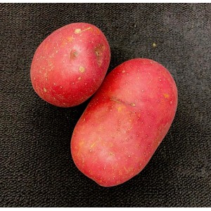 Red Potatoes 1kg