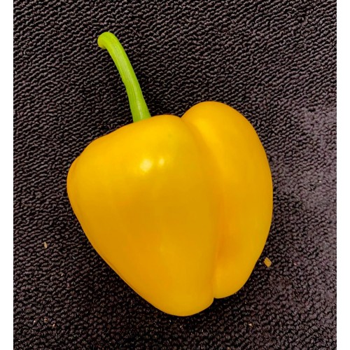 Peppers Yellow Each