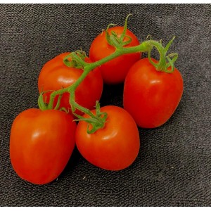 Plum Vine Tomato 500g