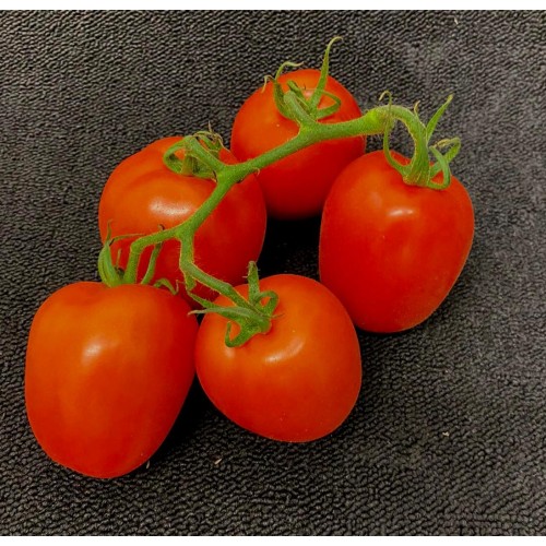 Plum Vine Tomato 500g