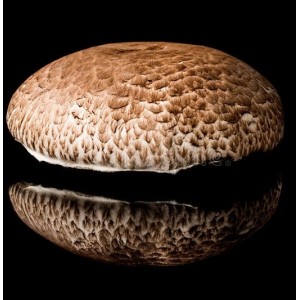 Portabello Mushrooms 500gm