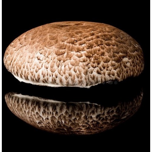 Portabello Mushrooms 500gm